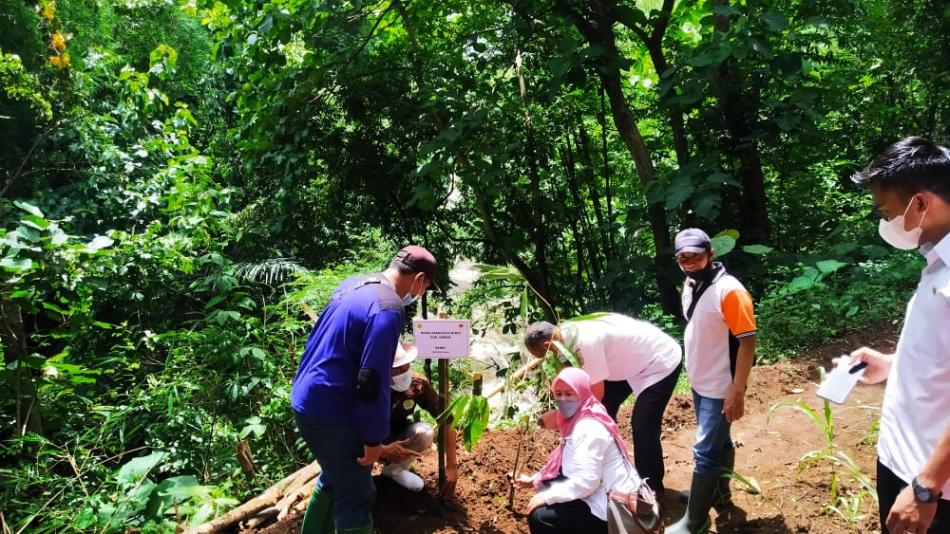 24WhatsApp Image 2021-12-27 at 09.25.34 (1).jpeg